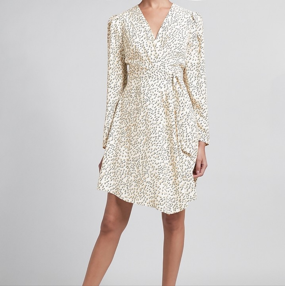 Express Leopard Puff Sleeve Wrap Dress